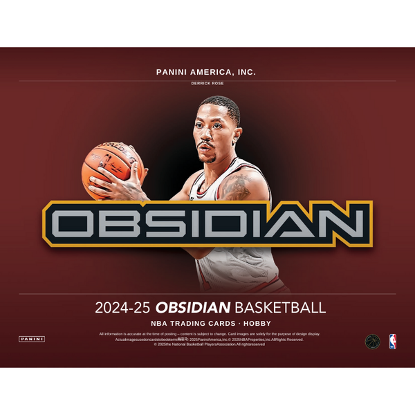 2024/25 Panini Obsidian Basketball Hobby 12 Box Case